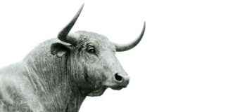 Bitcoin Price Soars Near $100K as Crypto Market Cap Hits Record $3.4 Trillion news-22112024-135520