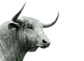 Bitcoin Price Soars Near $100K as Crypto Market Cap Hits Record $3.4 Trillion news-22112024-135520