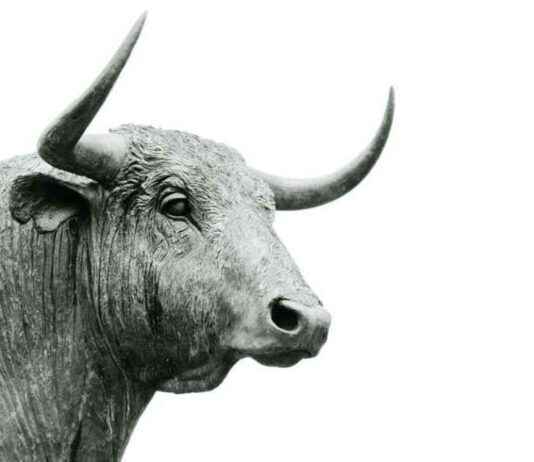 Bitcoin Price Soars Near $100K as Crypto Market Cap Hits Record $3.4 Trillion news-22112024-135520