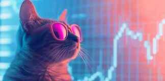 CatSlap: The Next Mog Coin or Popcat – 1,835% Surge news-22112024-195614