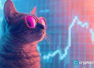 CatSlap: The Next Mog Coin or Popcat – 1,835% Surge news-22112024-195614