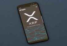 XRP Price Surges with Ripple’s Money Market Fund Announcement news-26112024-111839