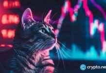 CatSlap Gains Smart Money Support, Potential Binance or Coinbase Listing – Popcat Price Decreases by 9% news-26112024-172129