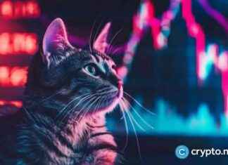 CatSlap Gains Smart Money Support, Potential Binance or Coinbase Listing – Popcat Price Decreases by 9% news-26112024-172129