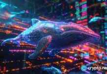 Solana Whales Bullish on New Crypto with 5,000% Potential Surge news-28112024-234723