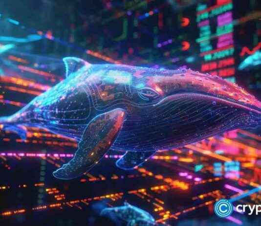 Solana Whales Bullish on New Crypto with 5,000% Potential Surge news-28112024-234723