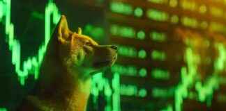 SHIB Price Prediction: Will SHIB Hit $1? Analysis and Outlook news-29112024-235633