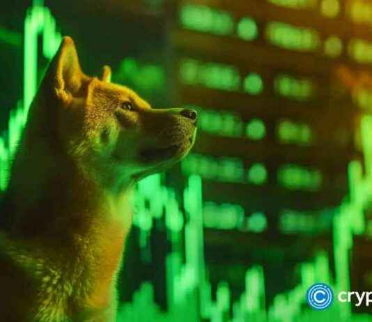 news-29112024-235633