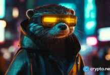 Top 3 Altcoins to Invest $200 in for $2M Crypto Portfolio by 2025 news-30112024-120052