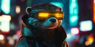 Top 3 Altcoins to Invest $200 in for $2M Crypto Portfolio by 2025 news-30112024-120052