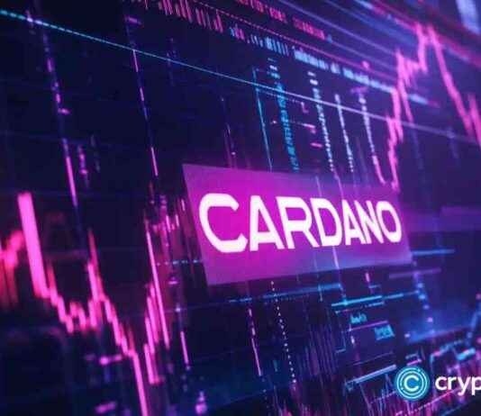 ADENG Presale Launches to Spark New Meme Coin Craze on Cardano adeng-presale-launches-to-spark-new-meme-coin-craze-on-cardano