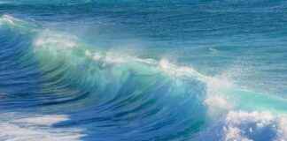 Bitcoin Price Analysis: Beware of FOMO Traders as High-Wave Price Action Indicates Confusion bitcoin-price-analysis-beware-of-fomo-traders-as-high-wave-price-action-ndicates-confusion