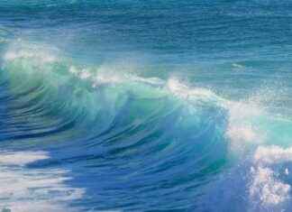 Bitcoin Price Analysis: Beware of FOMO Traders as High-Wave Price Action Indicates Confusion bitcoin-price-analysis-beware-of-fomo-traders-as-high-wave-price-action-ndicates-confusion