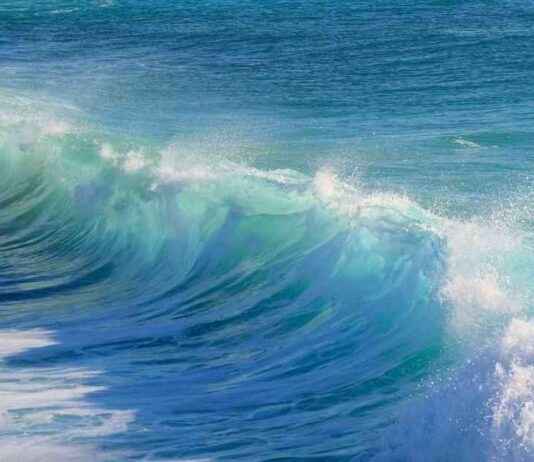 Bitcoin Price Analysis: Beware of FOMO Traders as High-Wave Price Action Indicates Confusion bitcoin-price-analysis-beware-of-fomo-traders-as-high-wave-price-action-ndicates-confusion