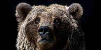 Bitcoin Price Forecast: Expert Predicts More Pain Ahead After 8% Loss bitcoin-price-forecast-expert-predicts-more-pain-ahead-after-8-loss