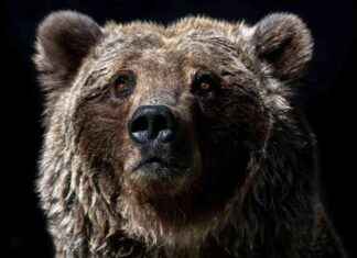 Bitcoin Price Forecast: Expert Predicts More Pain Ahead After 8% Loss bitcoin-price-forecast-expert-predicts-more-pain-ahead-after-8-loss