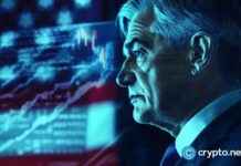 Bitcoin vs Gold: Powell Claims Cryptocurrency Competes with Precious Metal, Not USD bitcoin-vs-gold-powell-claims-cryptocurrency-competes-with-precious-metal-not-usd