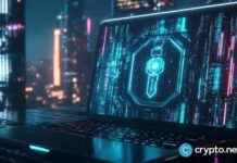 Building Gnosis: Co-founder Frederieke Ernst on Bringing Cypherpunk Ideals to Life building-gnosis-co-founder-frederieke-ernst-on-bringing-cypherpunk-deals-to-life