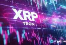Crypto Market Analysis: Potential Rally for XRP and TRON Despite BTC Below $100k crypto-market-analysis-potential-rally-for-xrp-and-tron-despite-btc-below-100k