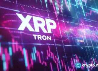 Crypto Market Analysis: Potential Rally for XRP and TRON Despite BTC Below $100k crypto-market-analysis-potential-rally-for-xrp-and-tron-despite-btc-below-100k