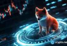Cryptocurrency Market Analysis: Shiba Inu, Bonk, and Pepe Rebound – Watch Out for Dead Cat Bounce cryptocurrency-market-analysis-shiba-nu-bonk-and-pepe-rebound-watch-out-for-dead-cat-bounce