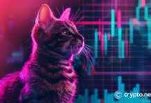 New Meme Coin POPCAT Surges, PENGU Outperforms BRETT: Strategies to Bypass Competitors new-meme-coin-popcat-surges-pengu-outperforms-brett-strategies-to-bypass-competitors