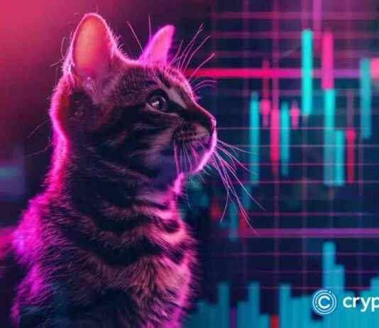 New Meme Coin POPCAT Surges, PENGU Outperforms BRETT: Strategies to Bypass Competitors new-meme-coin-popcat-surges-pengu-outperforms-brett-strategies-to-bypass-competitors