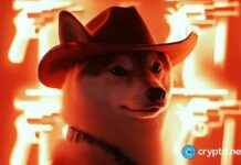 Shiba Inu Price Prediction: Will It Follow Dogecoin’s Path? news-01122024-121059
