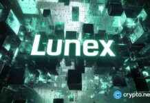 Lunex Network Price Analysis: Dogwifhat Bullish Flag Pattern Emerges at $0.0033 news-02122024-095508