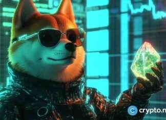 Potential for SHIB and XRP as New Altcoins: Analyst Insights potential-for-shb-and-xrp-as-new-altcoins-analyst-nsights