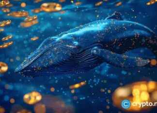 Top 3 Altcoins Accumulated by Crypto Whales Before Bull Run top-3-altcoins-accumulated-by-crypto-whales-before-bull-run