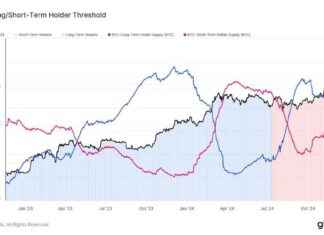 Van Straten: The Dominant Force Shaping the Bitcoin Market van-straten-the-dominant-force-shaping-the-bitcoin-market