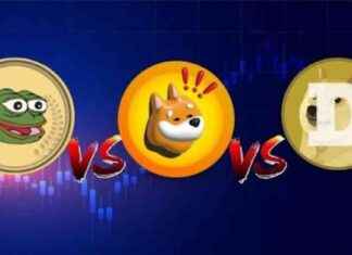 Which Memecoin Will Lead the Meme Market in 2025: Pepe vs. Dogecoin vs. Bonk which-memecoin-will-lead-the-meme-market-in-2025-pepe-vs-dogecoin-vs-bonk