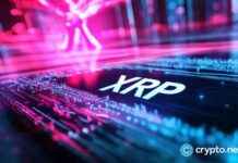 XRP Price Prediction 2021: Ripple Competitor Gears Up for Major Surge xrp-price-prediction-2021-ripple-competitor-gears-up-for-major-surge