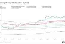 Bitcoin Buyers Enjoyed 40% Average Gain Last Year: Realized Price Insights bitcoin-buyers-enjoyed-40-average-gain-last-year-realized-price-nsights