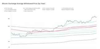Bitcoin Buyers Enjoyed 40% Average Gain Last Year: Realized Price Insights bitcoin-buyers-enjoyed-40-average-gain-last-year-realized-price-nsights
