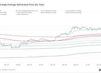 Bitcoin Buyers Enjoyed 40% Average Gain Last Year: Realized Price Insights bitcoin-buyers-enjoyed-40-average-gain-last-year-realized-price-nsights