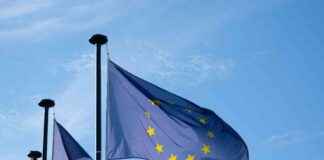 EU MiCA License Awarded to 4 Companies by Dutch Regulator AFM eu-mica-license-awarded-to-4-companies-by-dutch-regulator-afm