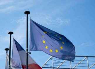 EU MiCA License Awarded to 4 Companies by Dutch Regulator AFM eu-mica-license-awarded-to-4-companies-by-dutch-regulator-afm