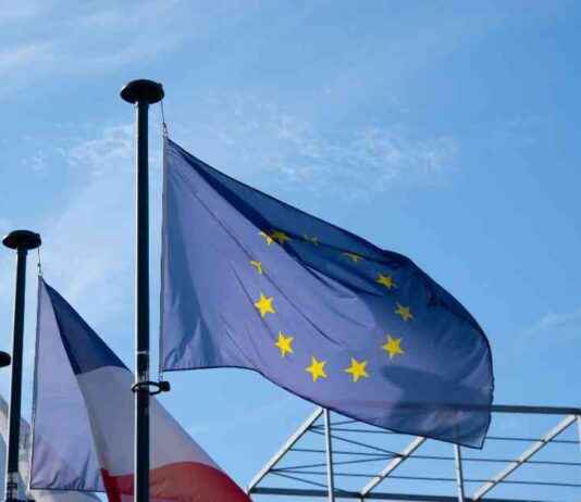 EU MiCA License Awarded to 4 Companies by Dutch Regulator AFM eu-mica-license-awarded-to-4-companies-by-dutch-regulator-afm