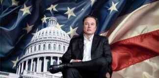 Exploring Blockchain for Government Transparency: Musk’s DOGE Initiative | Live Bitcoin News exploring-blockchain-for-government-transparency-musks-doge-nitiative-live-bitcoin-news