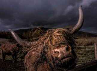 High Net-Worth Investors’ Strong Confidence in Bitcoin Sparks Bullish Sentiment high-net-worth-nvestors-strong-confidence-in-bitcoin-sparks-bullish-sentiment