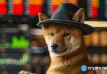 Las Vegas Sphere denies Dogwifhat partnership: details las-vegas-sphere-denies-dogwifhat-partnership-details