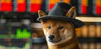 Las Vegas Sphere denies Dogwifhat partnership: details las-vegas-sphere-denies-dogwifhat-partnership-details