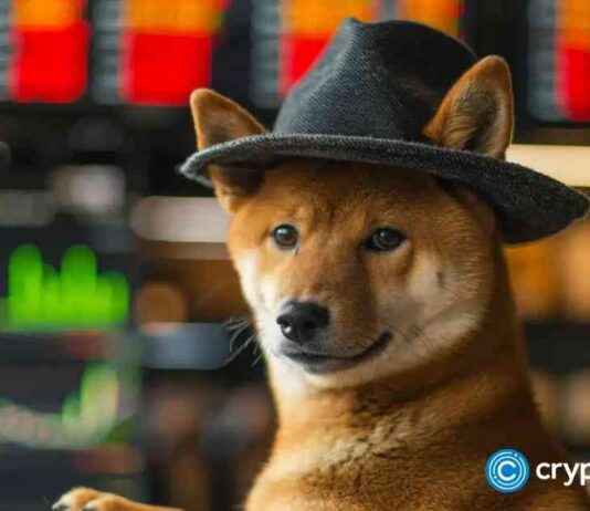 Las Vegas Sphere denies Dogwifhat partnership: details las-vegas-sphere-denies-dogwifhat-partnership-details