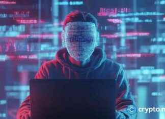 Lost $12m in Meme Coin Blunder: Ross Ulbricht-Linked Wallets lost-12m-in-meme-coin-blunder-ross-ulbricht-linked-wallets