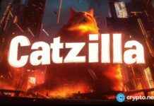 Rising Meme Coin: Potential x1000 Growth Success Story rising-meme-coin-potential-x1000-growth-success-story