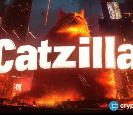 rising-meme-coin-potential-x1000-growth-success-story