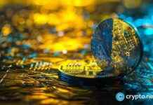 satoshi-action-fund-raises-300k-for-bitcoin-advocacy