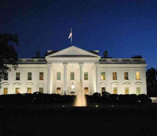 The Latest Update on Crypto: Analysis of Trump’s Second Week the-latest-update-on-crypto-analysis-of-trumps-second-week